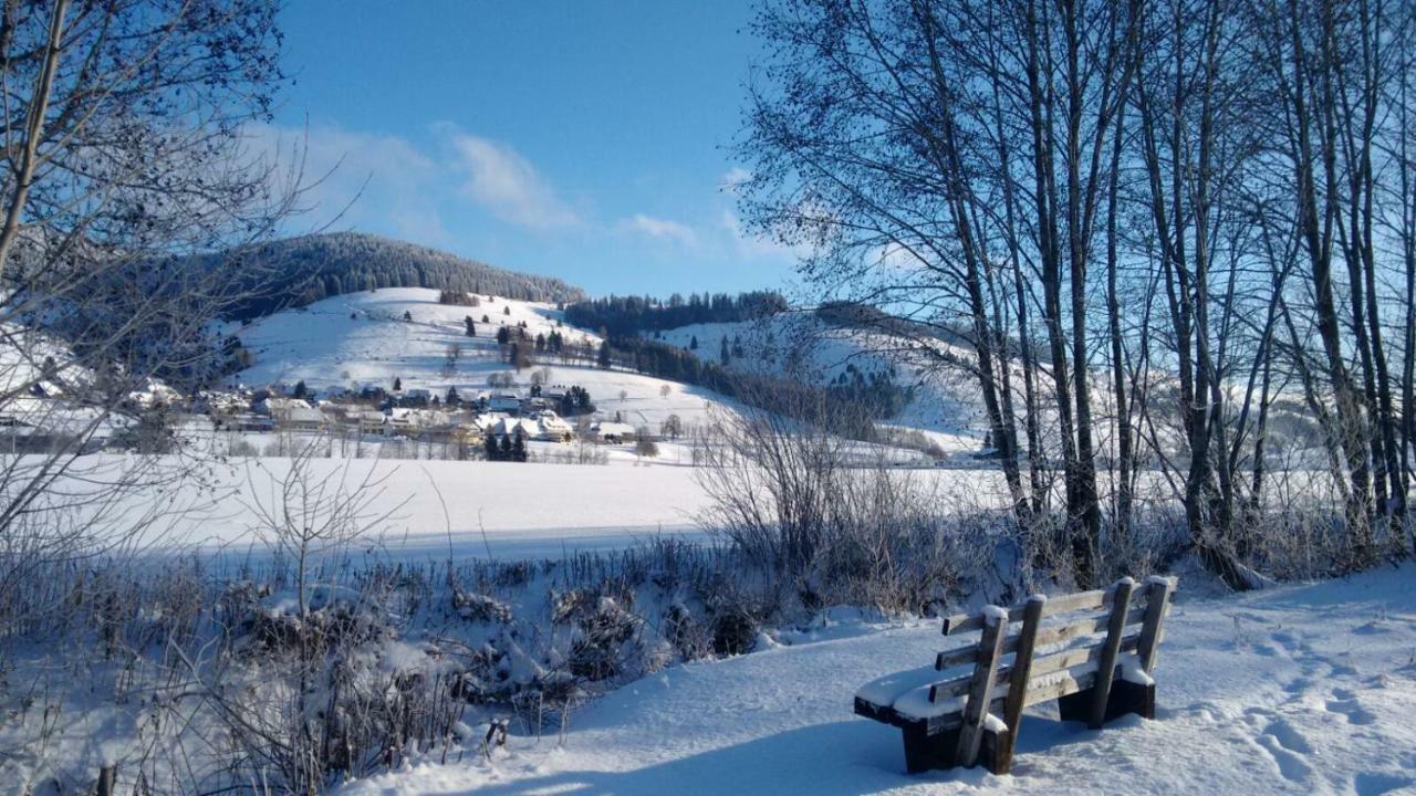 Fewo Mit Pool Haus Enere Au Todtmoos Kültér fotó