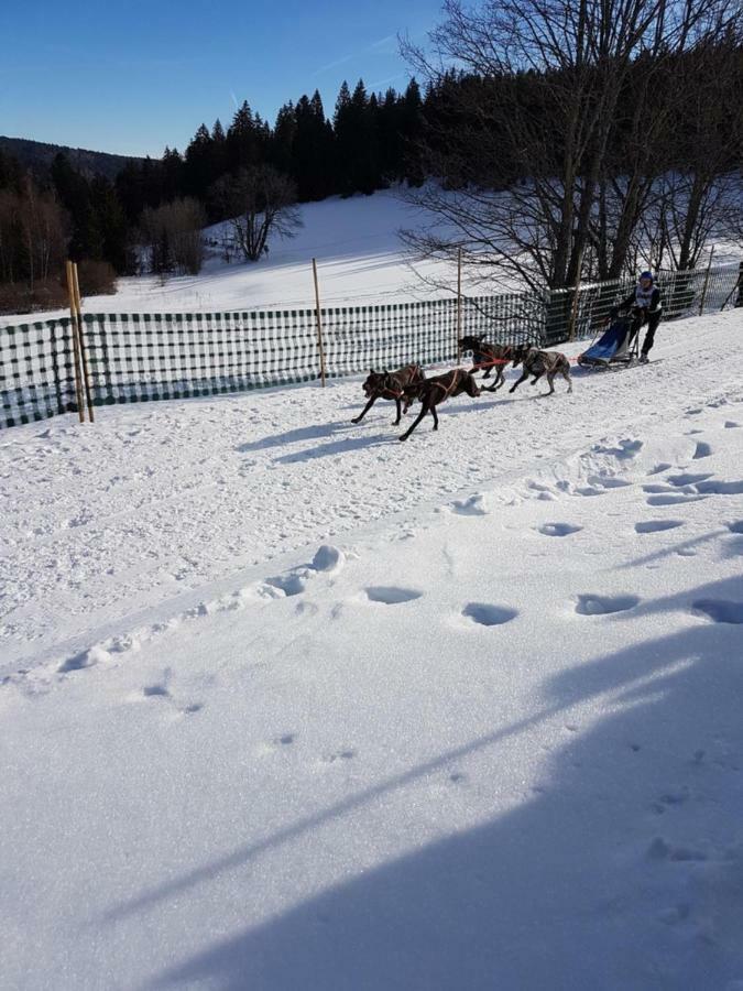 Fewo Mit Pool Haus Enere Au Todtmoos Kültér fotó